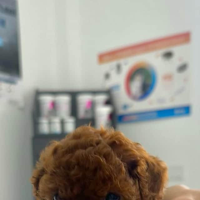 Kliniğimizden bir kare — Instagram’da devamı.