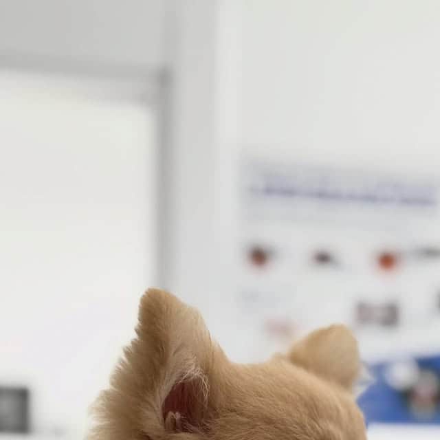Kliniğimizden bir kare — Instagram’da devamı.