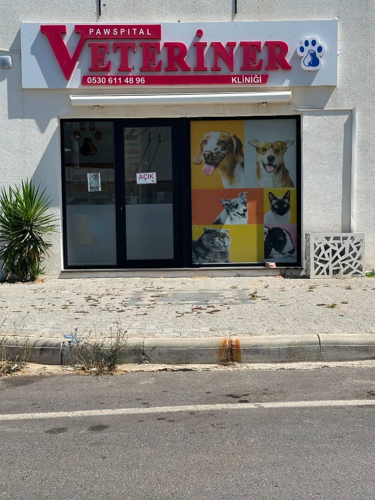 Klinik girişi ve vitrin