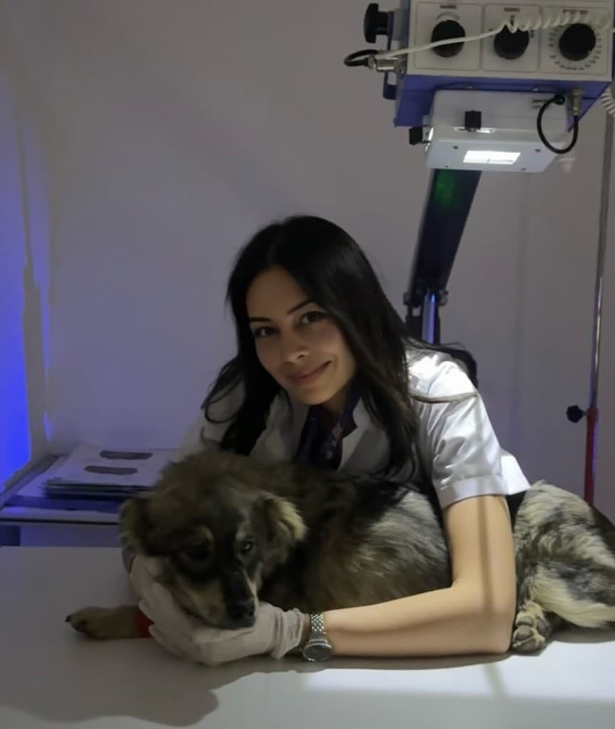 Veteriner Hekim Elif Duran