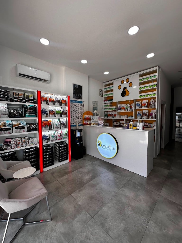 Pawspital Veteriner Kliniği bekleme alanı